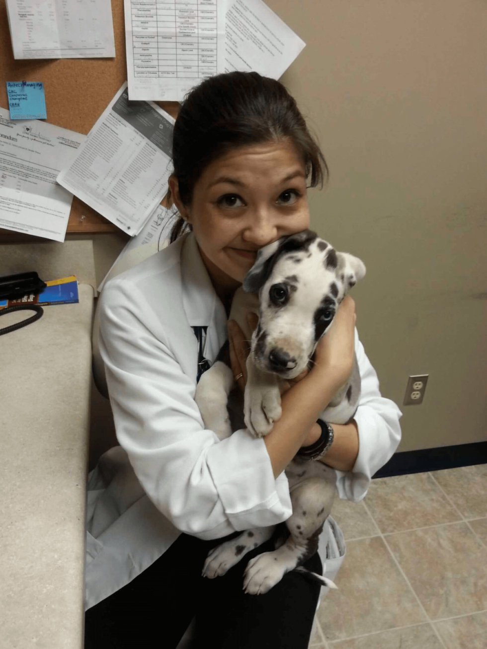 Veterinarian In Fredericksburg, VA Hart Animal Clinic