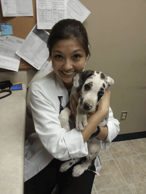 Veterinarian holding a dog