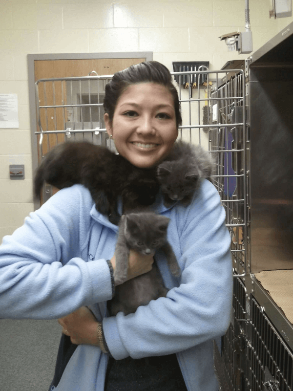 Veterinarian with kittens